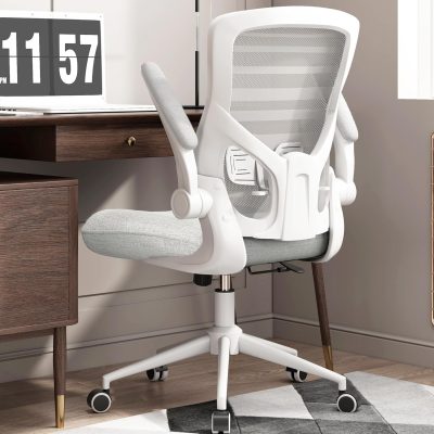 ARCH2145 Adjustable Ergonomic Cold Cured Gainsboro Chair